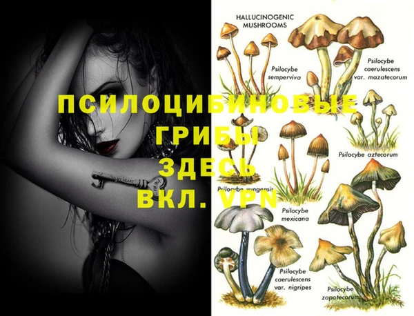 бутик Няндома