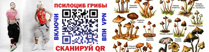 Купить  Челябинск  Галлюциногенные грибы Magic Shrooms 
